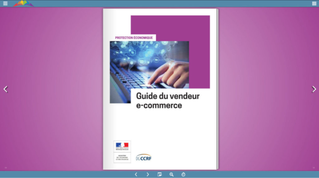 Guide du E-Vendeur DGCCRF