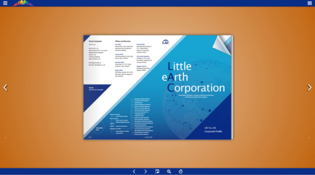 Little Earth Corporation Report