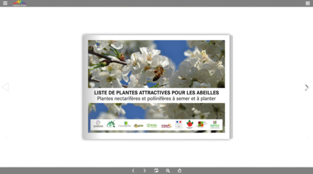 Plante Melliferes Catalogue